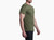 Loden|Vert loden