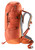 Paprika-Mandarine|Paprika-Mandarine|ALT