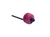 Raspberry|Framboise|ALT