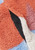 Cantaloupe Orange|Cantaloupe Orange|ALT