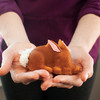 Nordic Ware Baby Bunny Cake Pan