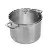 Chantal Induction 21 Steel Stockpot