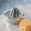 RSVP Endurance Citrus Juicer