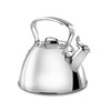 All-Clad Stainless Steel Tea Kettle