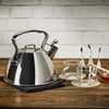 All-Clad Stainless Steel Tea Kettle