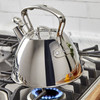 All-Clad Stainless Steel Tea Kettle