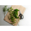 Shun Herb Shears