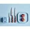 Wusthof Classic Color Paring Knife