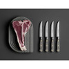 Wusthof Classic Color 4-Piece Steak Knife Set