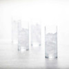 Schott Zwiesel Paris Collins Glasses