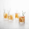 Fortessa Jupiter Double Old Fashioned Glasses