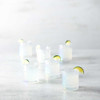 Fortessa Jupiter Double Old Fashioned Glasses