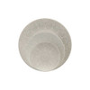 Fortessa Havana 12-Piece Dinnerware Set in Gray