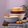 Mason Cash In the Meadow Mixing Bowl 4-Piece Set
