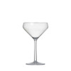 Fortessa Sole Outdoor Martini Glasses