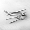 Fortessa Viggo Flatware Set
