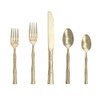 Fortessa Royal Pacific Brushed Champagne Flatware Set