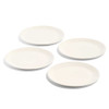 Made In Dinner Plates in White