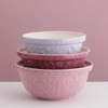 Mason Cash In the Meadow Spring Mixing Bowl Set