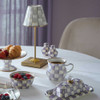 MacKenzie-Childs Violet Check Salt and Pepper Shakers