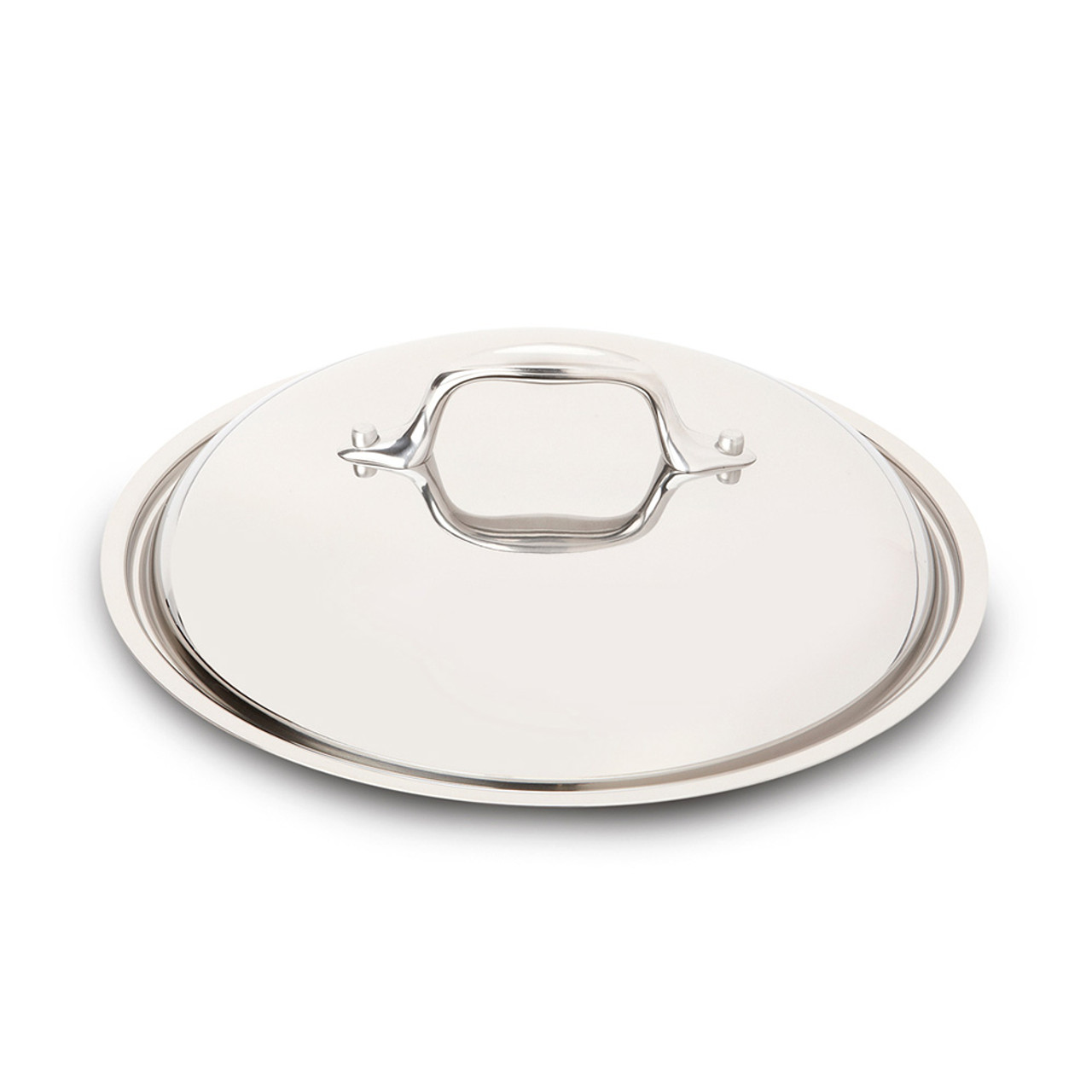 D3 Stainless Braiser with Domed Lid