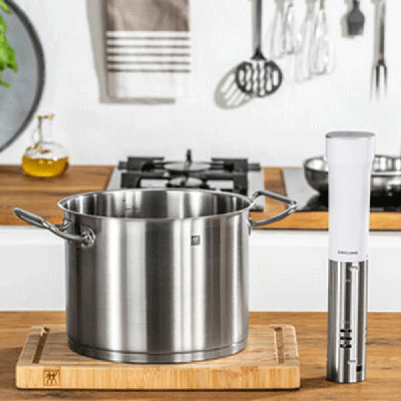 All-Clad Sous Vide Immersion Circulator