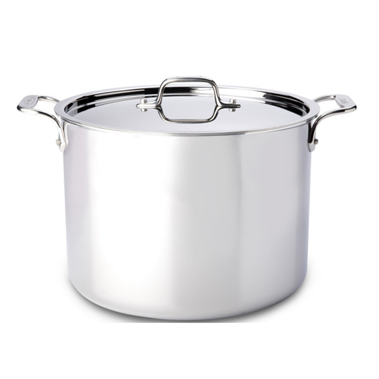 All-Clad Stainless 12 qt. Multi Cooker with Steamer Basket - Kitchen &  Company