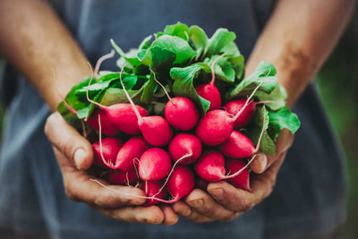 Get a Rosy Outlook on Radish Recipes