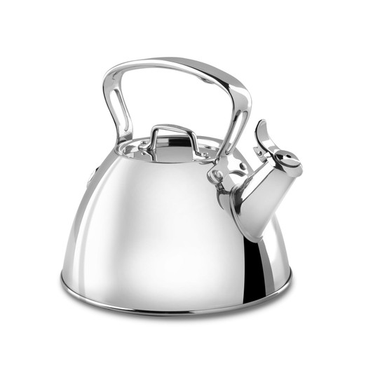 All-Clad Stainless Steel Tea Kettle