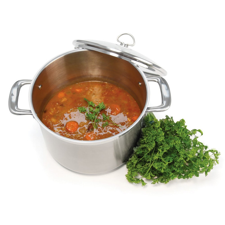 Chantal Induction 21 Steel Stockpot