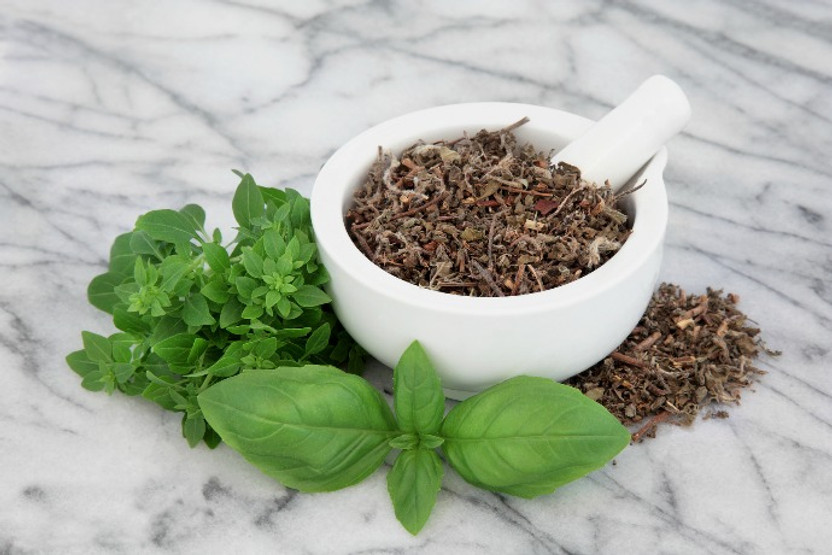 Oregano: Fresh vs. Dried