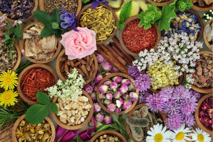 Summer herbs and edible flowers