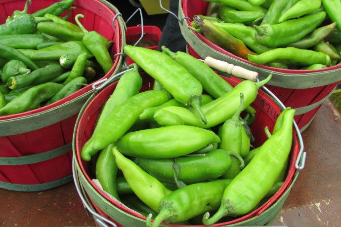 Hatch Green Chile Recipes: From Mild to Fiery