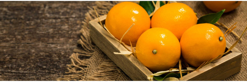 Meyer Lemons: Sweet Sunshine on a Cloudy Day