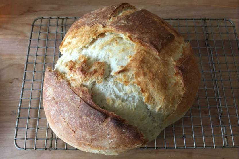 Grow Your Own Natural Yeast Starter: The First Step to Perfect Sourdough  Bread - Spade Spatula