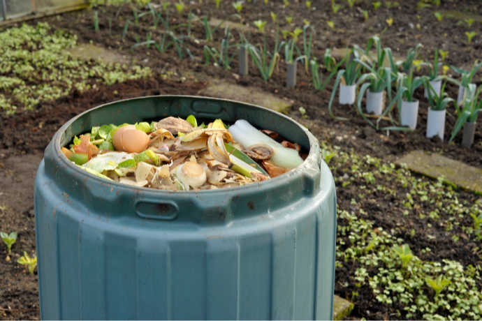 How to Start Composting