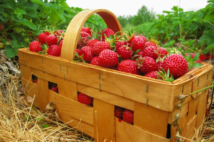 Eat Seasonally in June: Sweet Strawberry Desserts