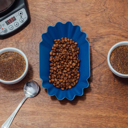 Revolution Oval Bean Tray