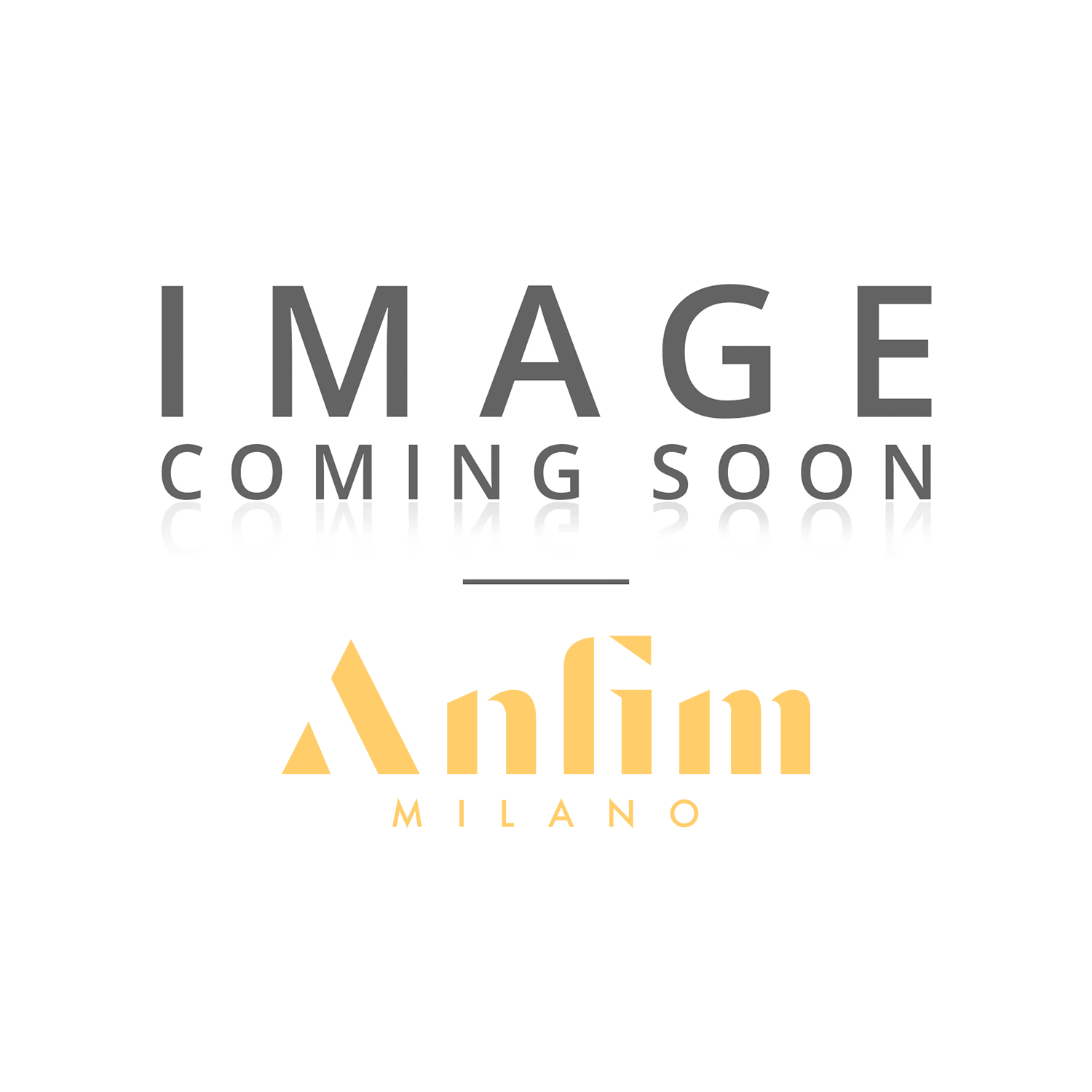 Anfim touch Panel (Scody, Cody)