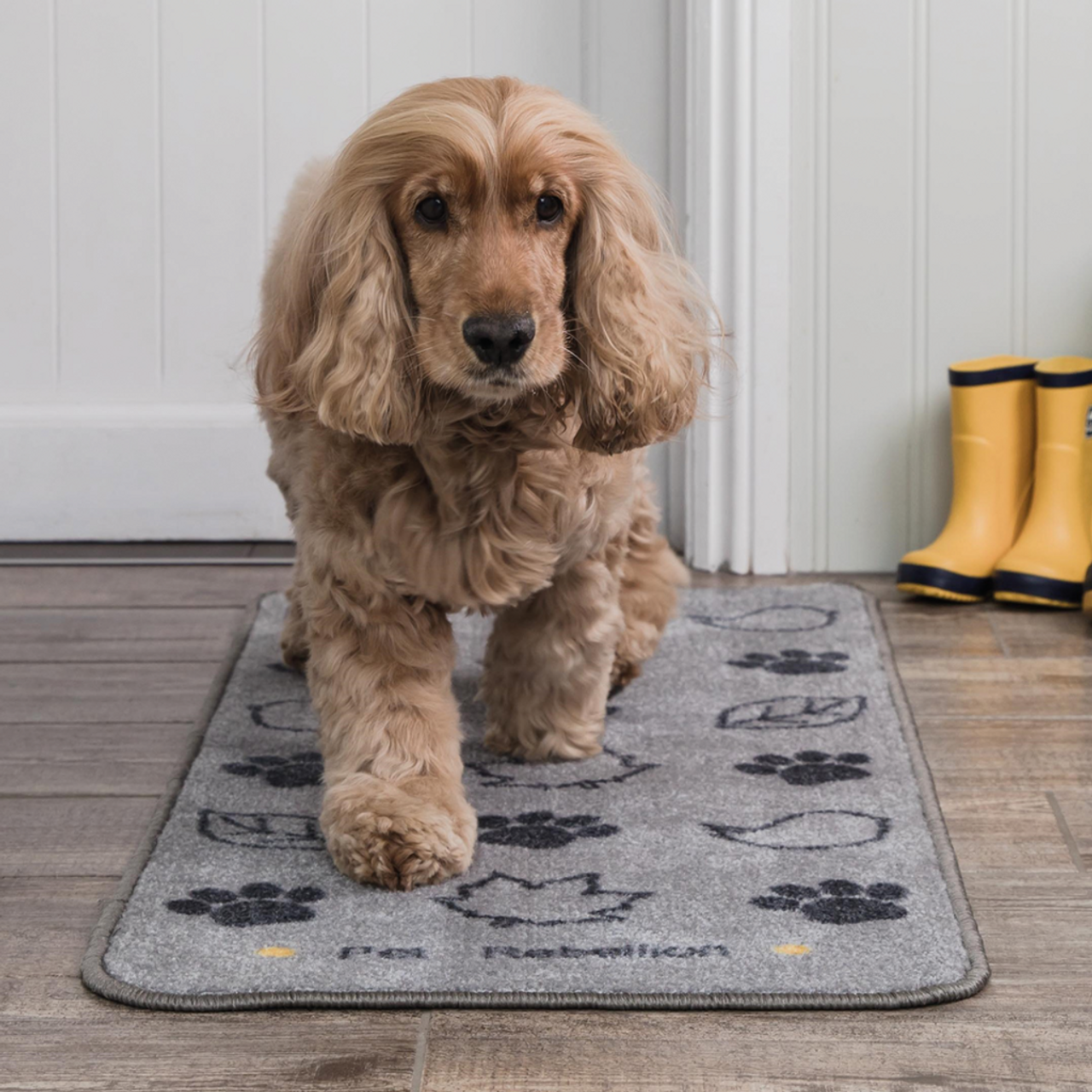 Stop Muddy Paws Barrier Rug