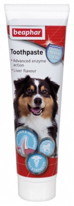 Toothpaste Liver Flavour