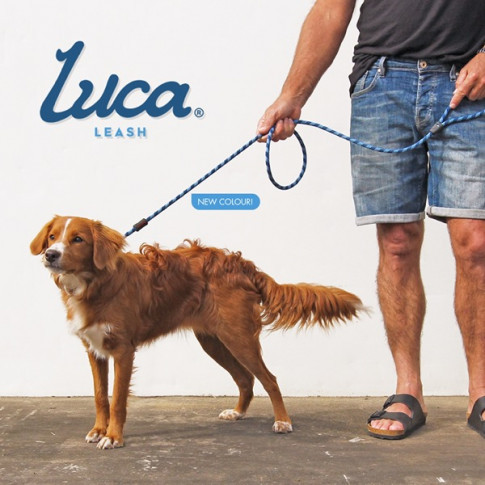 ezydog luca lead