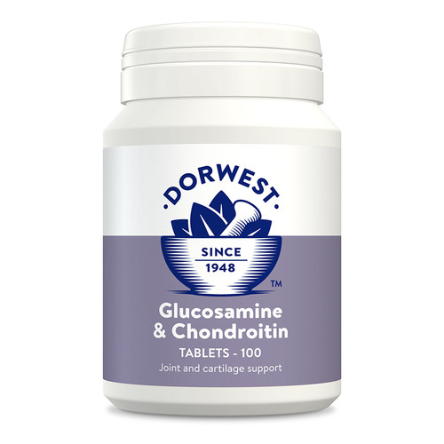 Glucosamine & Chondroitin Tablets