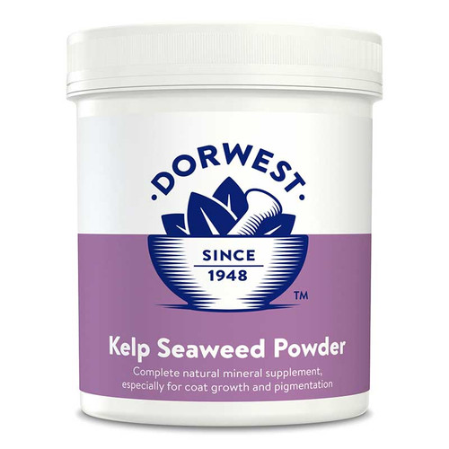 Kelp Seaweed Powder