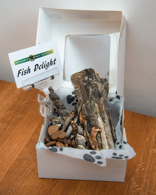 Treat Box - Fish Delight
