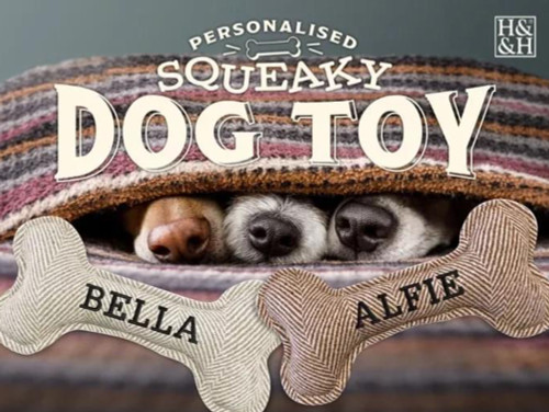 Squeaky Bone Dog Toy