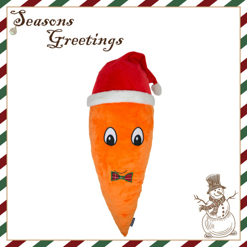 Karl Carrot