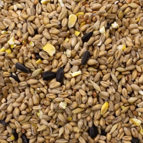 Wild Bird Seed 1.5kg