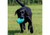 Orva Treat Barrel