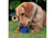 Orva Brain Ball